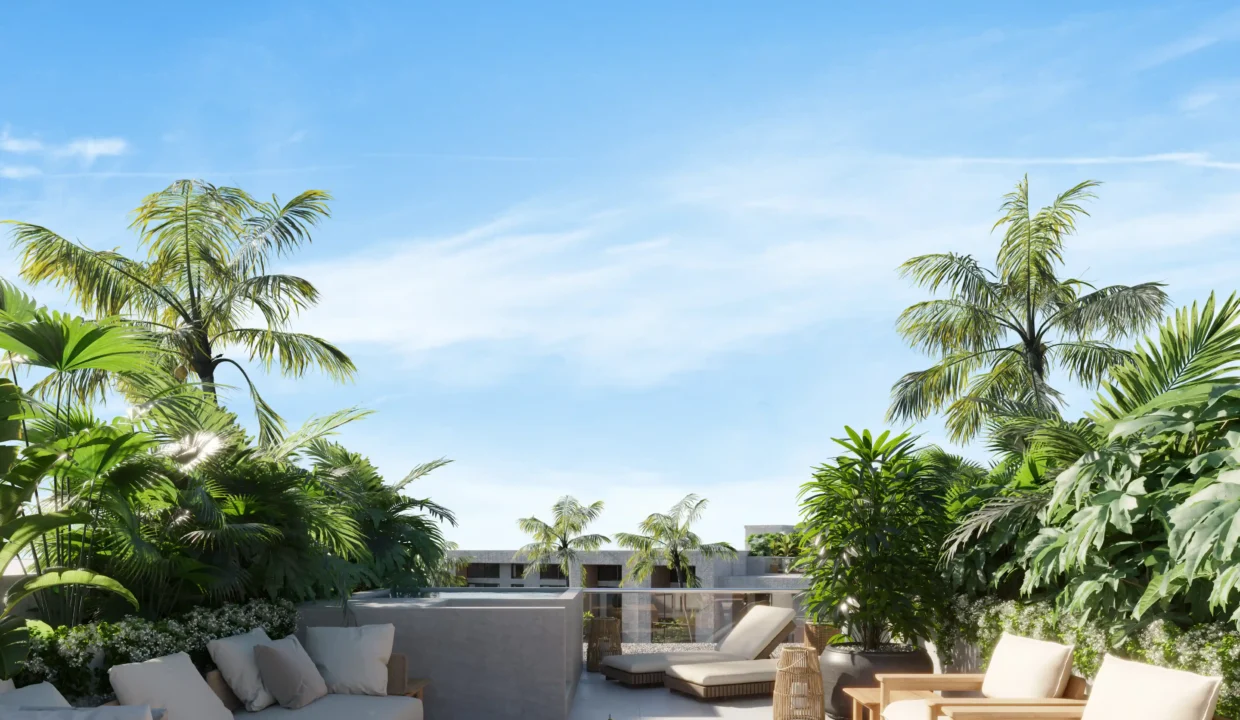 Ansaya - Vista Rooftop Tipos B y D 2